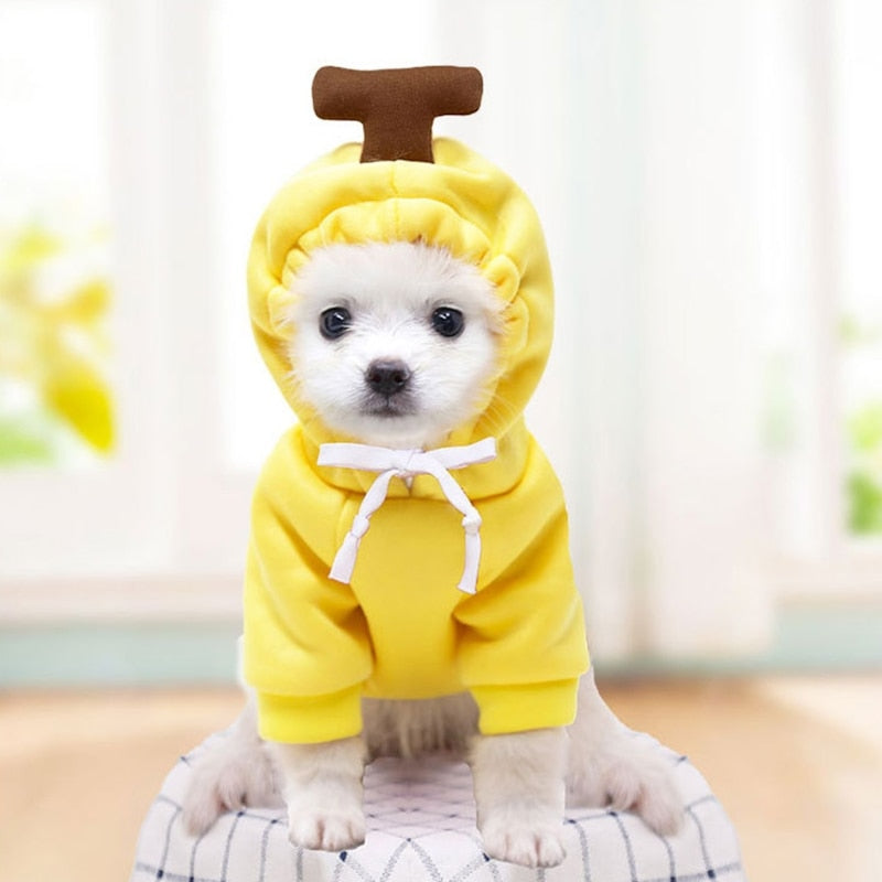 Cute Plush Coat Dog Hoodie