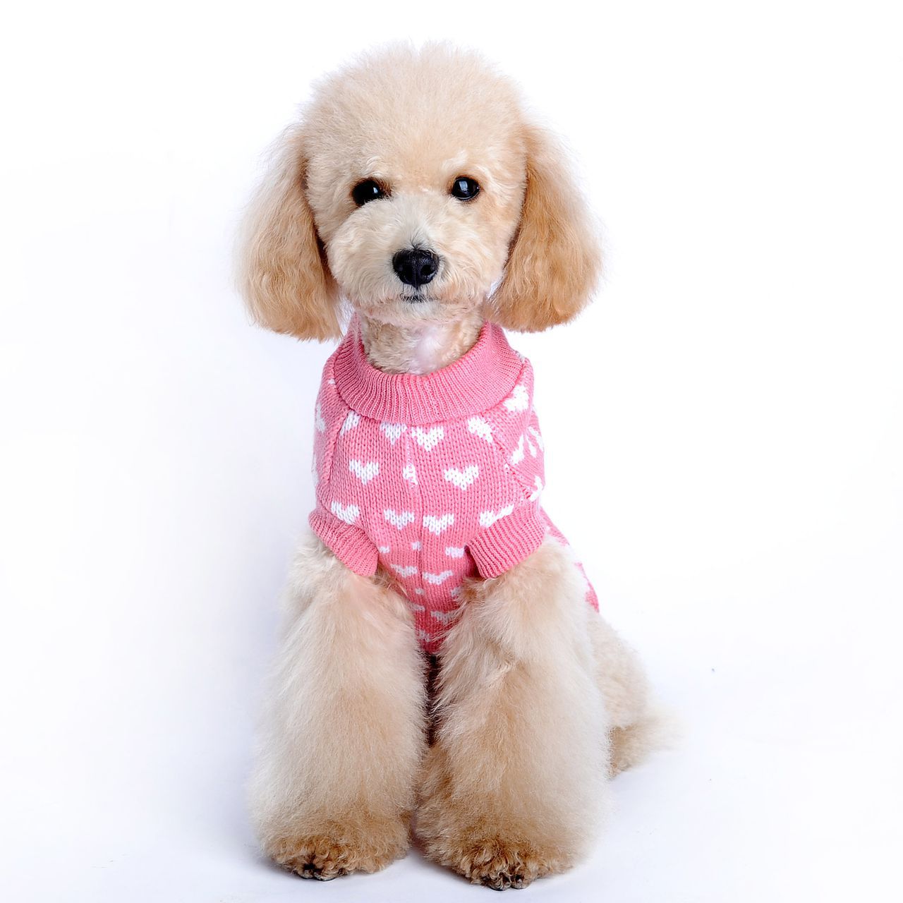 Cute Heart Pattern Dog Sweater