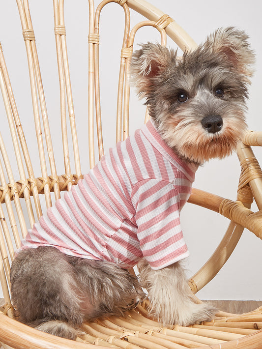 Striped T-Shirt