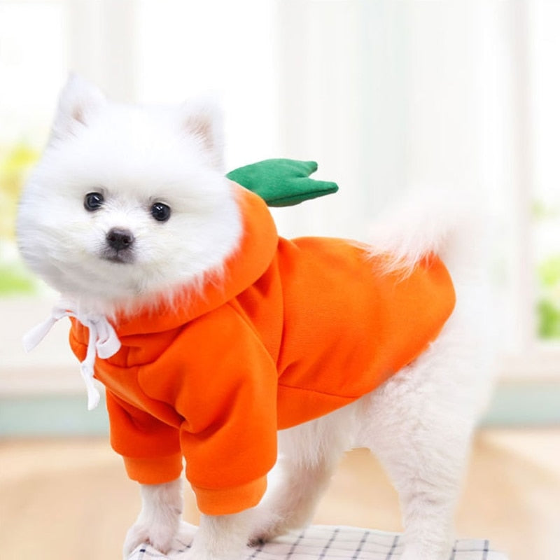 Cute Plush Coat Dog Hoodie