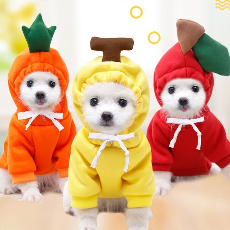 Cute Plush Coat Dog Hoodie