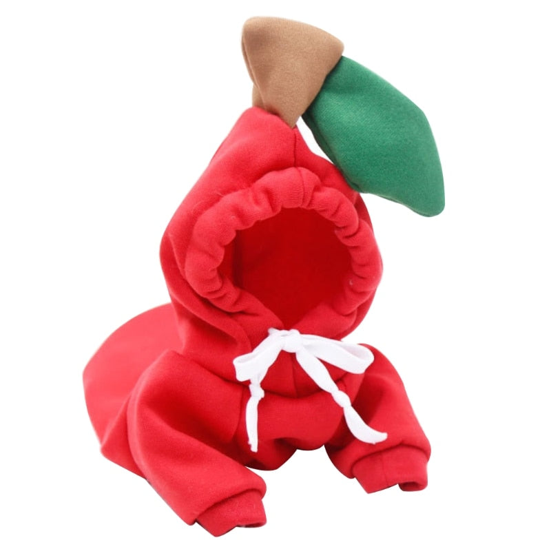 Cute Plush Coat Dog Hoodie