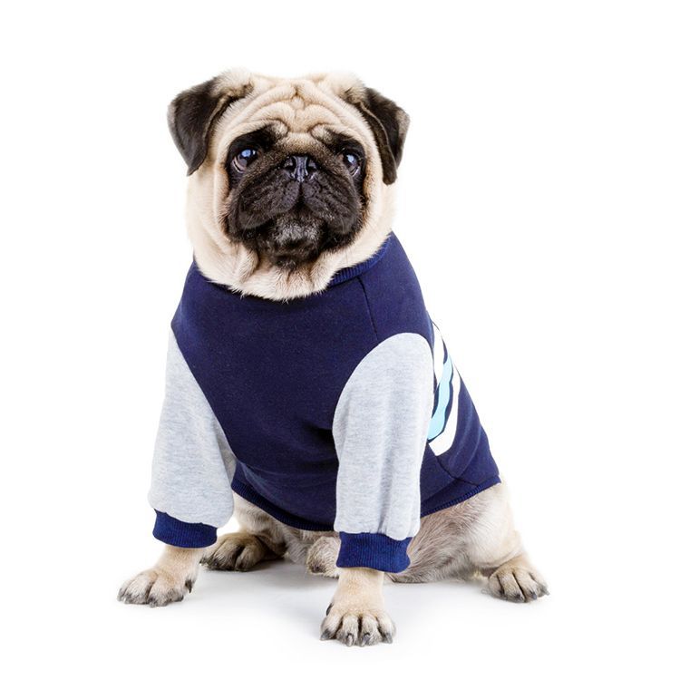 Dog Cotton Wave Warm Sweater