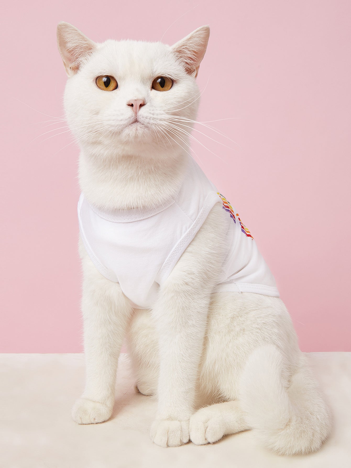 Cat And Dog Cotton T-Shirt