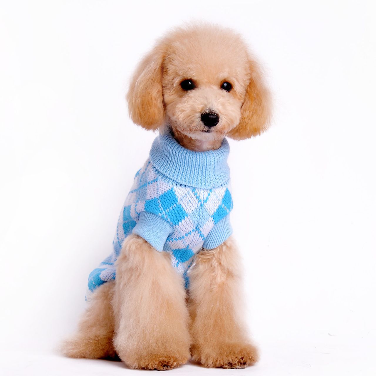 Geometric Rhombus Dog Knitted Sweater