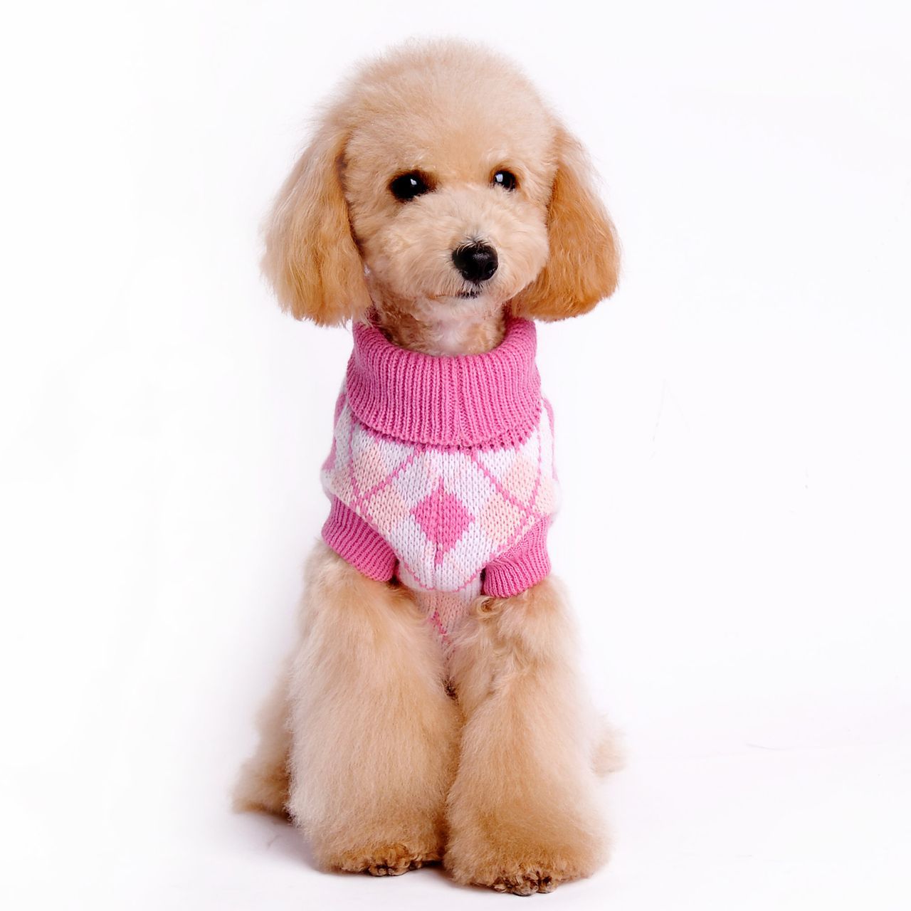 Geometric Rhombus Dog Knitted Sweater