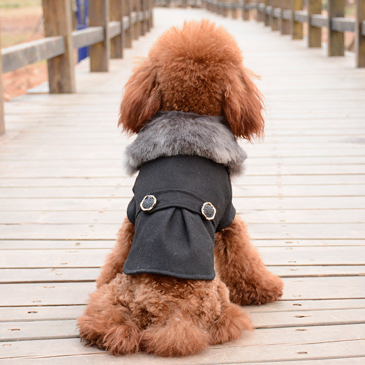 Fur Collar Dog Coat