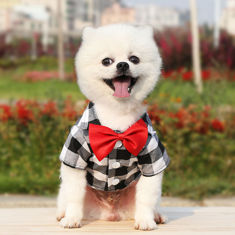 Dog Plaid Button up Shirt