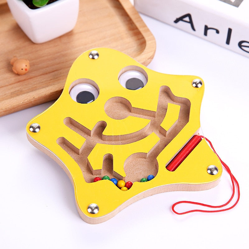 Magnetic Animal Maze